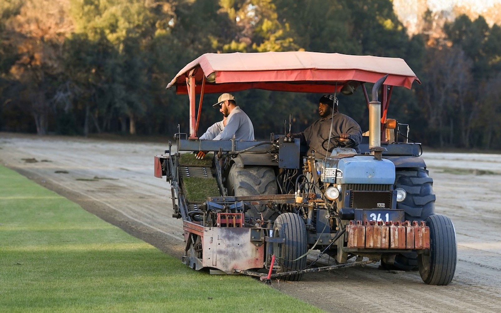 Sod & Turf Farms